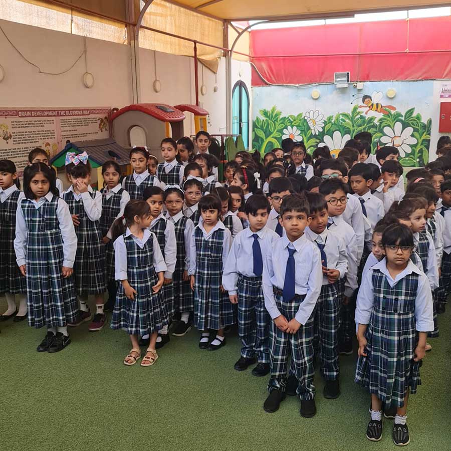 Blossoms International School Home Blossoms International School Home